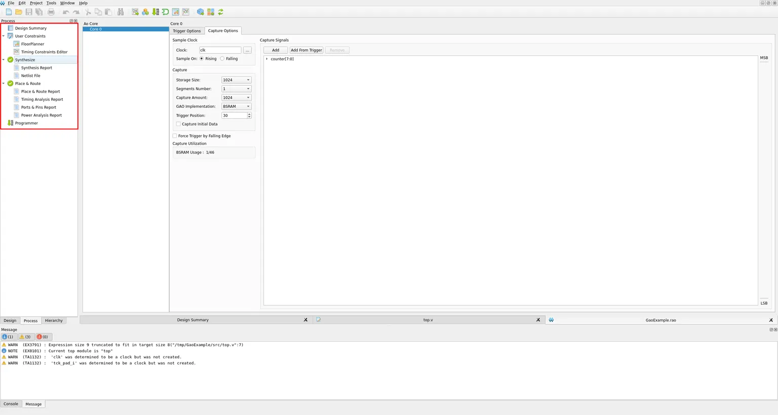 Process panel showing Synthesize and Place & Route both completed successfully with green checkmarks