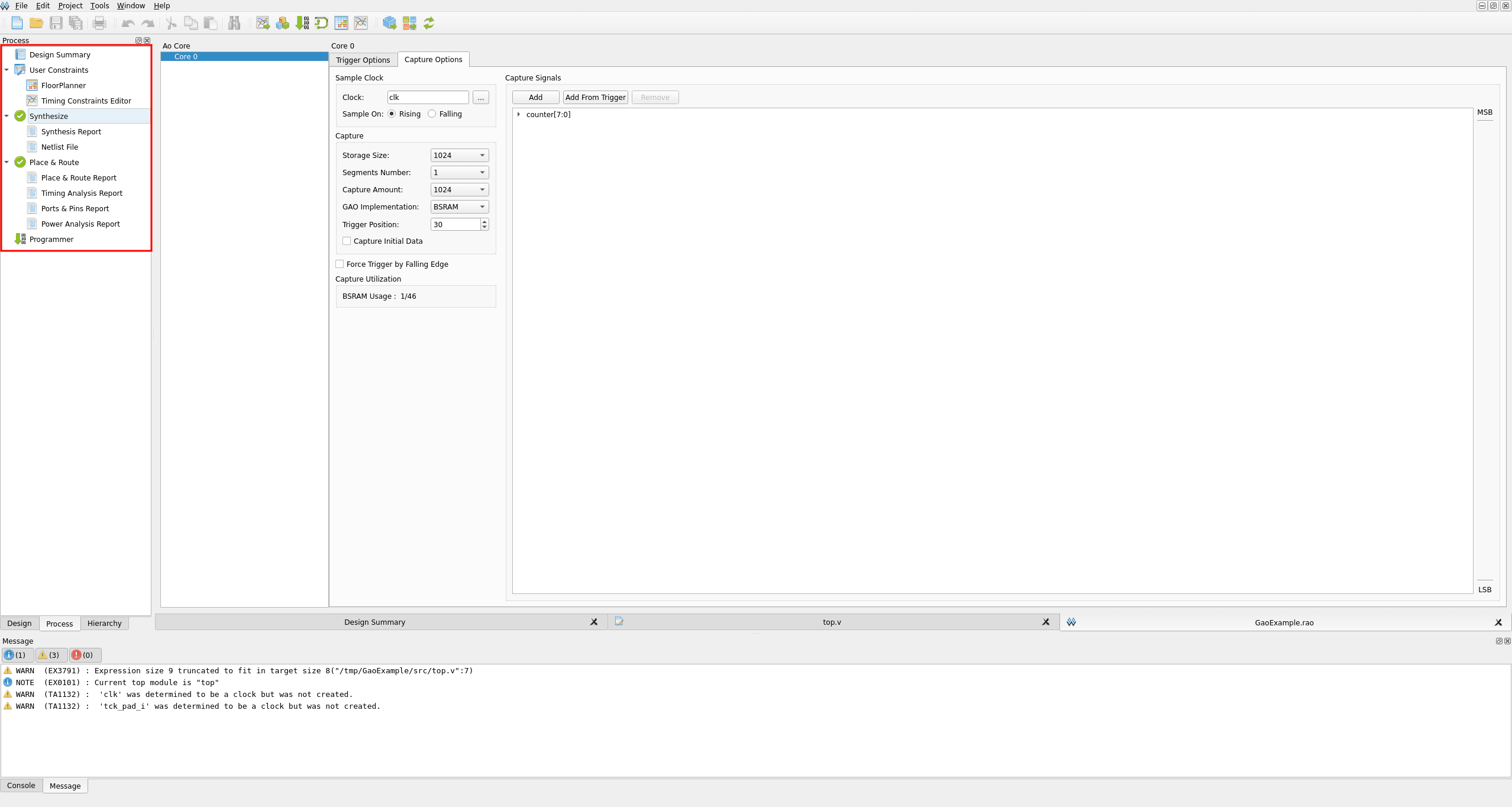 Process panel showing Synthesize and Place & Route both completed successfully with green checkmarks