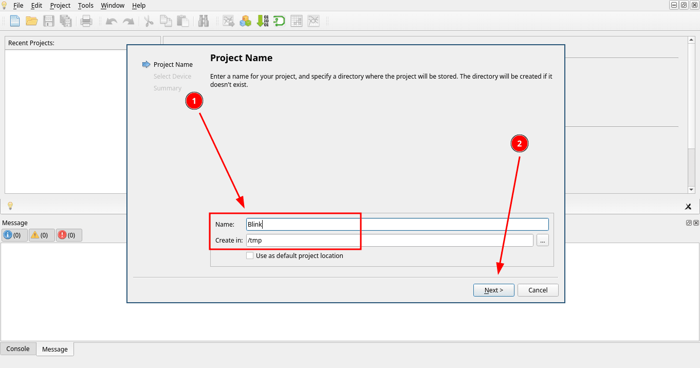 Project Name step naming the project Blink and setting /tmp as its location